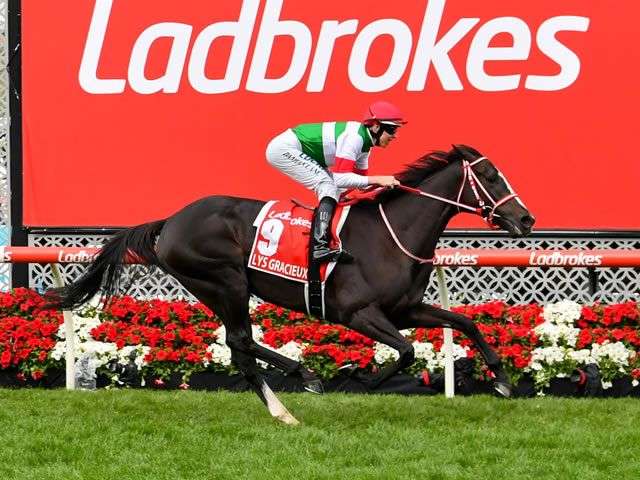名前を知ってる競走馬はプラスで