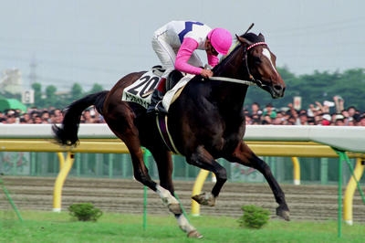 名前を知ってる競走馬はプラスで