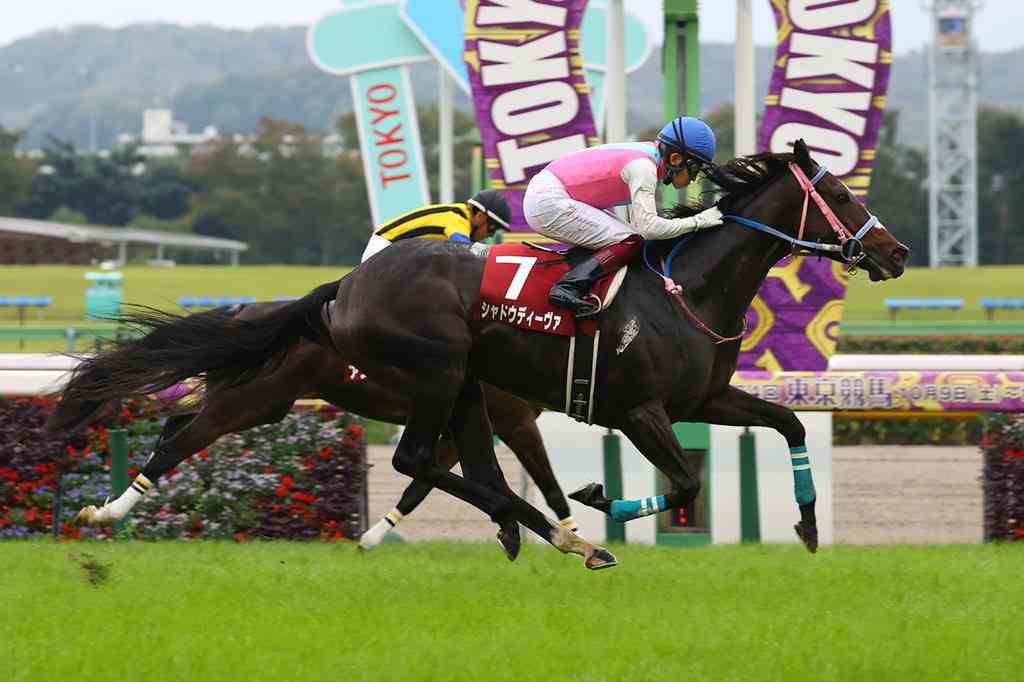 名前を知ってる競走馬はプラスで