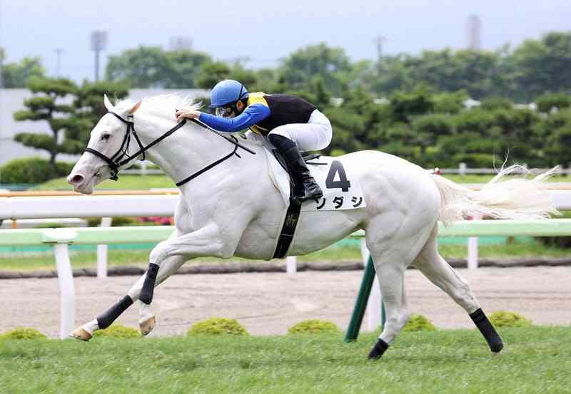 名前を知ってる競走馬はプラスで