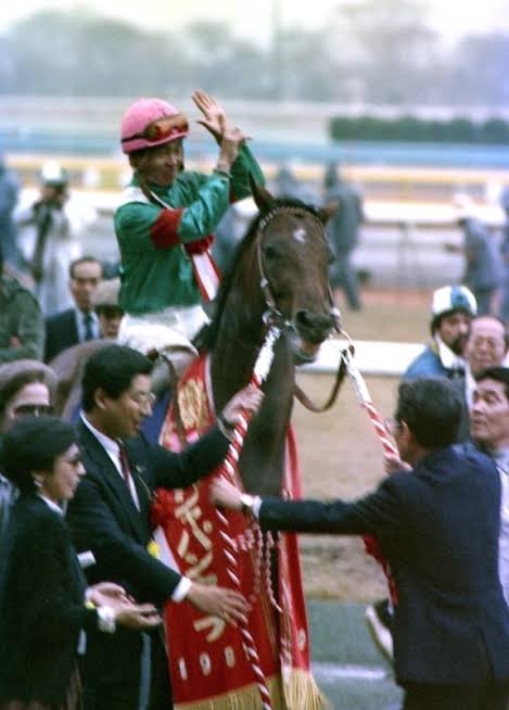 名前を知ってる競走馬はプラスで