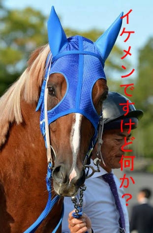 名前を知ってる競走馬はプラスで