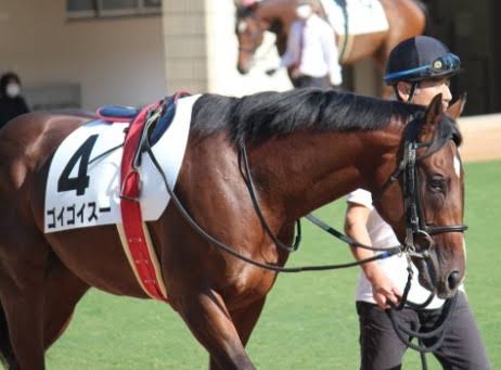 名前を知ってる競走馬はプラスで