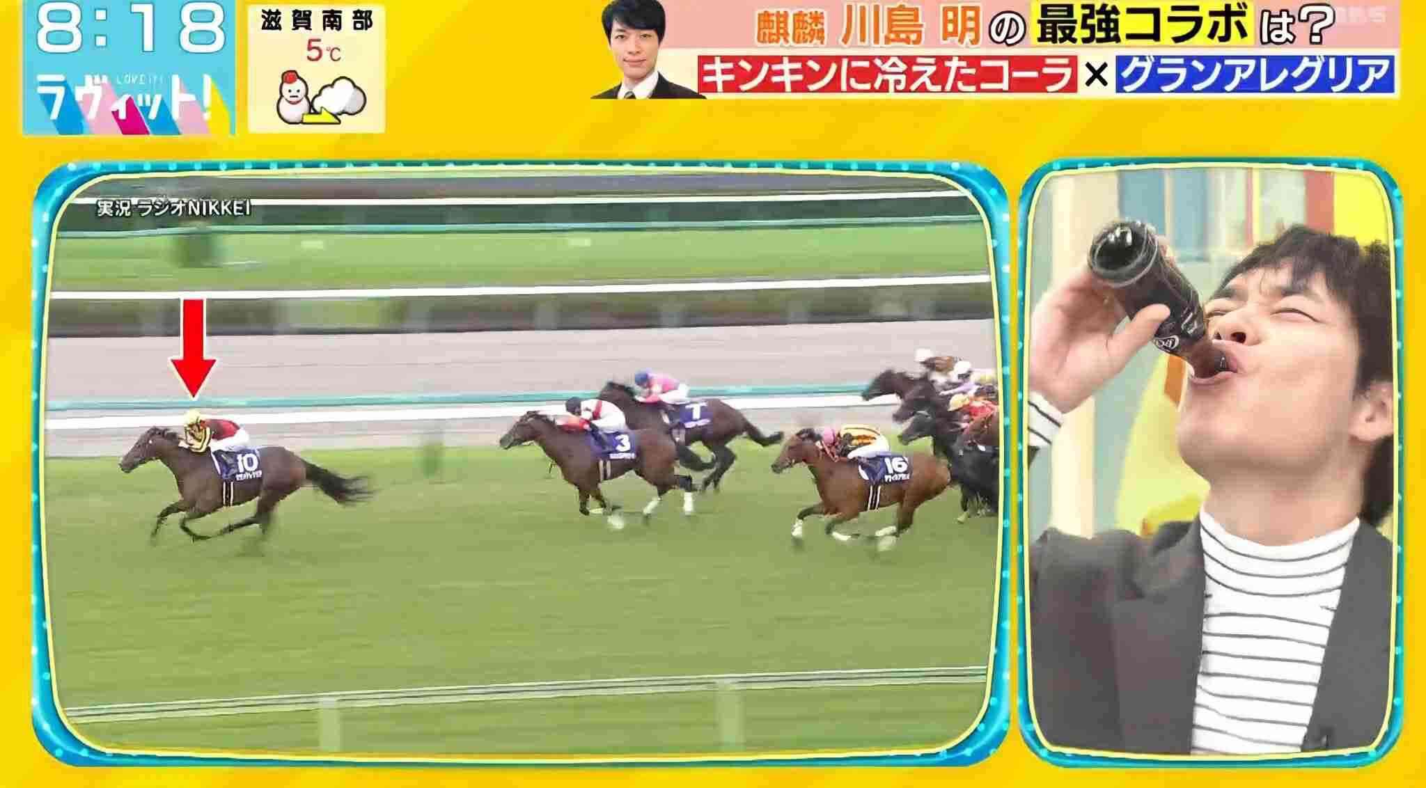 名前を知ってる競走馬はプラスで