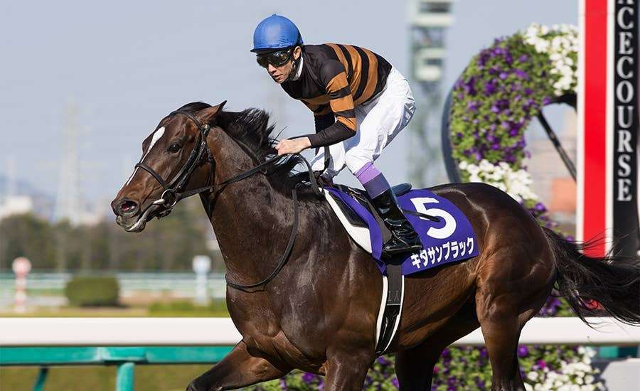 名前を知ってる競走馬はプラスで