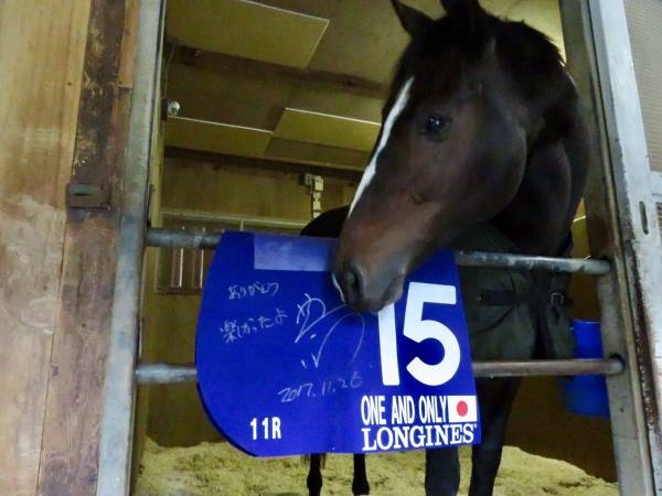 名前を知ってる競走馬はプラスで
