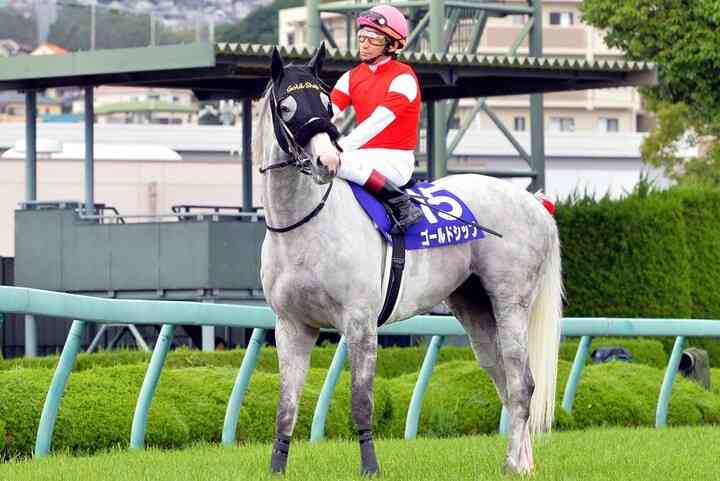 名前を知ってる競走馬はプラスで