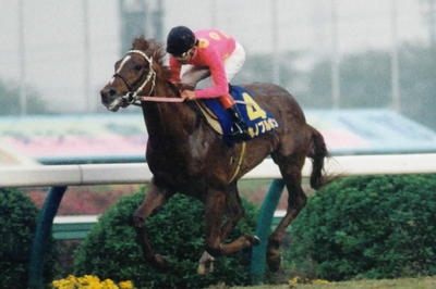 名前を知ってる競走馬はプラスで