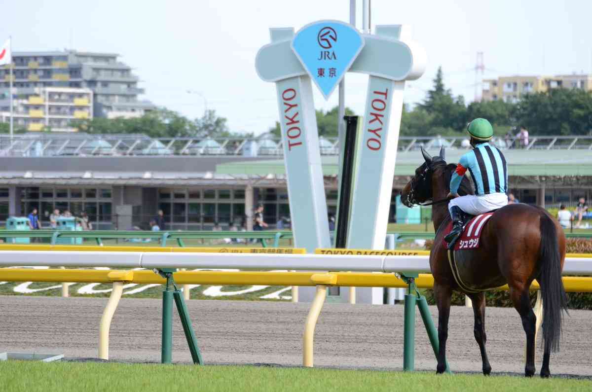 名前を知ってる競走馬はプラスで