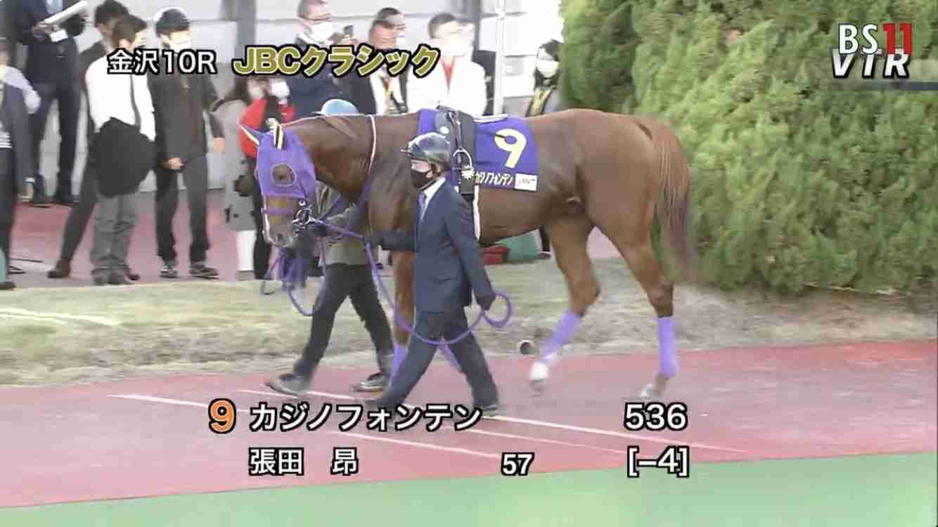 名前を知ってる競走馬はプラスで