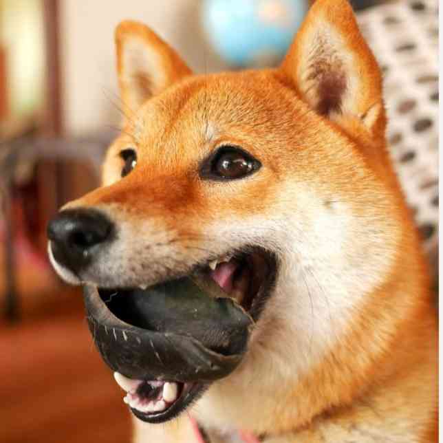 周りに承認欲求強い人いますか