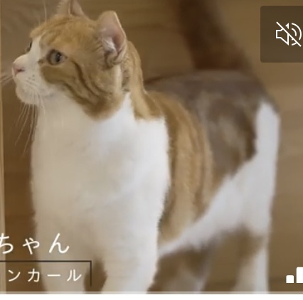 深夜だしみんな下らないこと言い合おうぜPart6