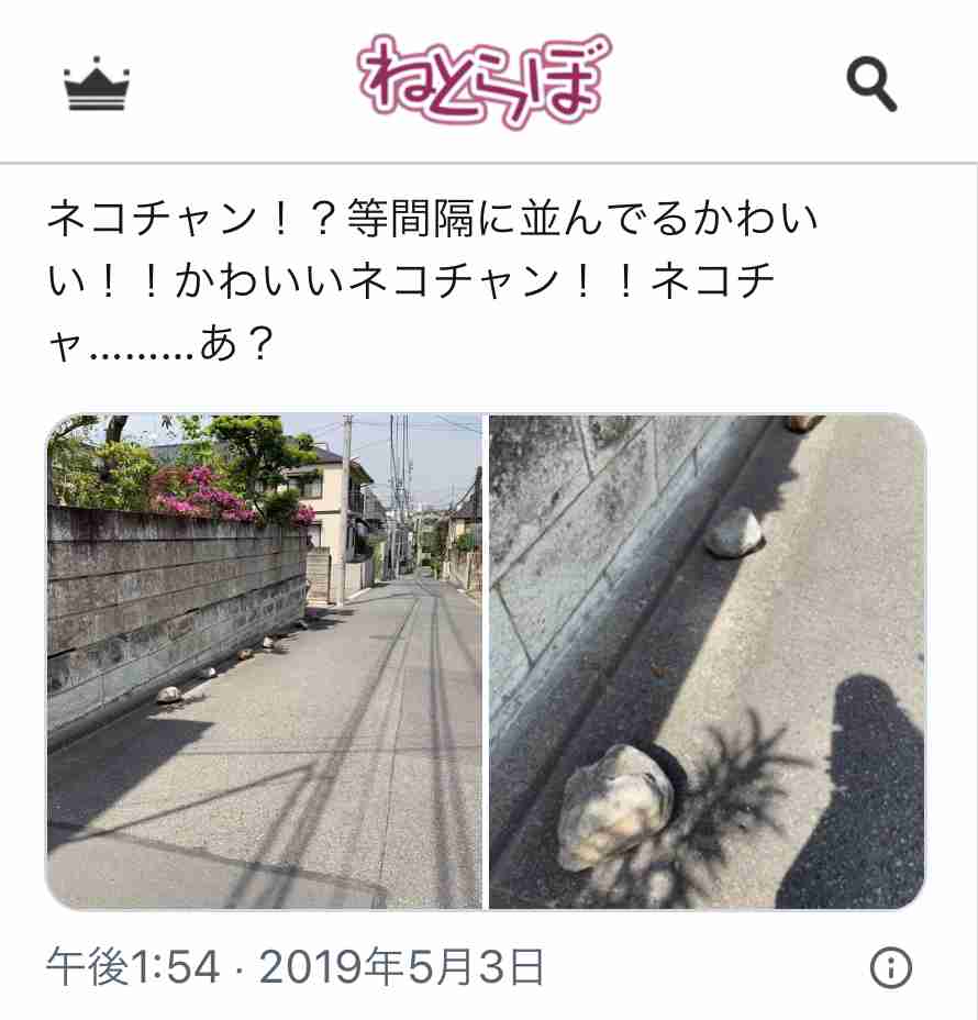 【スギちゃん雑談】2022ラストスパート!2023がやって来るぜぇ!🎅🎍🐰【part79】