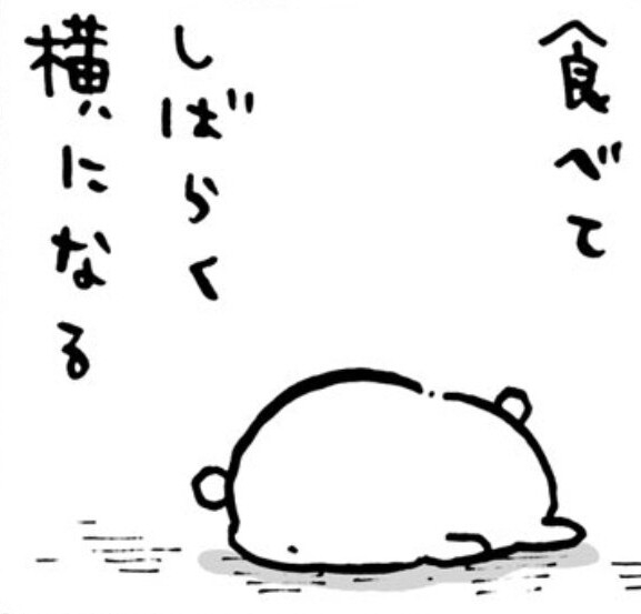 【スギちゃん雑談】2022ラストスパート！2023がやって来るぜぇ！🎅🎍🐰【part79】