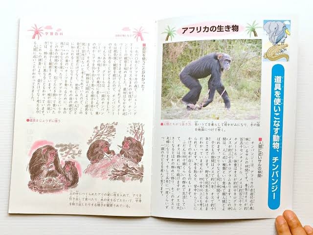 「ジャポニカ学習帳」表紙を長年撮影、山口進さん死去…74歳