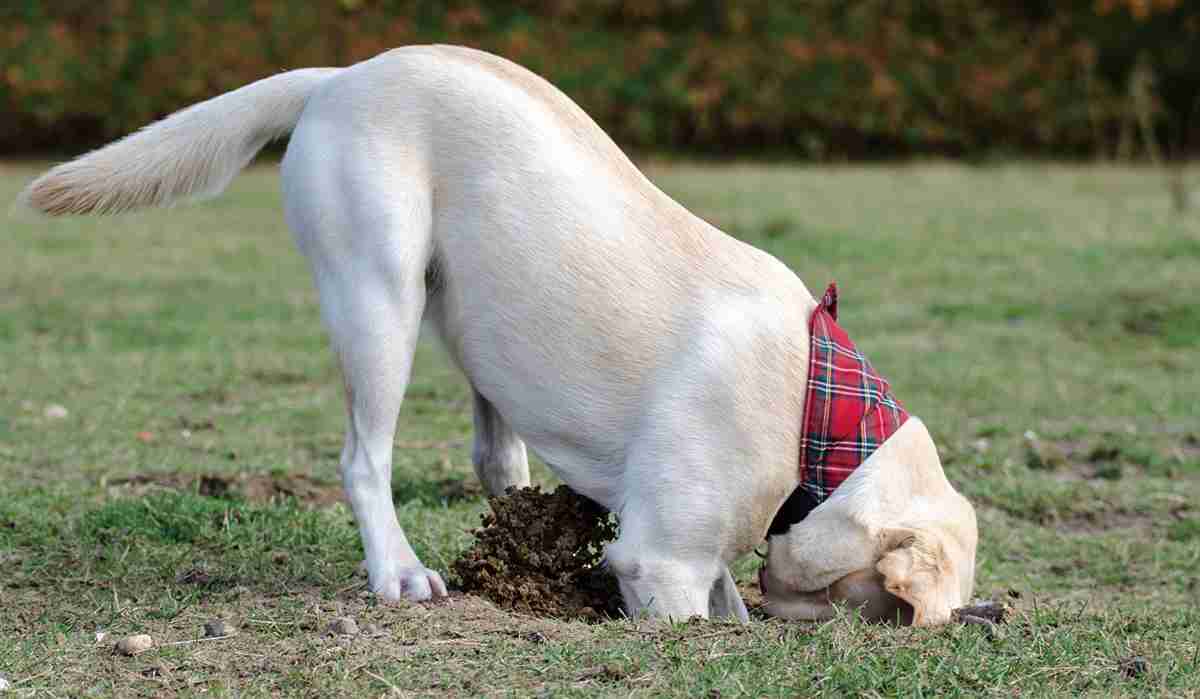 お菓子収納どうしてますか？