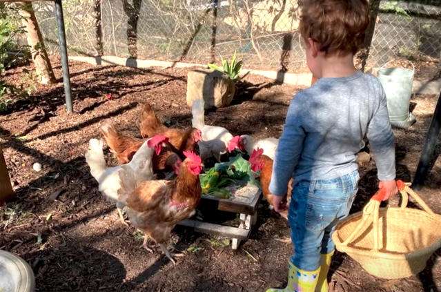 妻の流産はタブロイド紙のせい、ヘンリー英王子が王室と報道に対する新たな持論展開