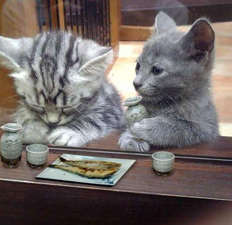 お酒飲んで何もかも忘れてリラックスしたい