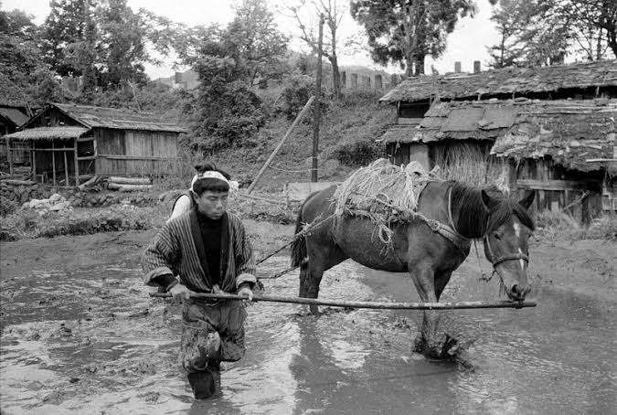 日本の昔の写真が見たい!パート3