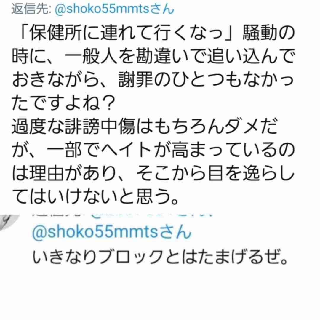 中川翔子、誹謗中傷犯人特定も苦言「いざ捕まると精神的問題のせいと」「被害者からしたら恐怖でしかない」