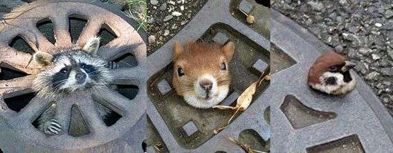 後悔から学んだこと、ありますか？