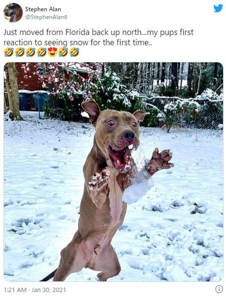 寒くなって(ちょっとだけ)嬉しい