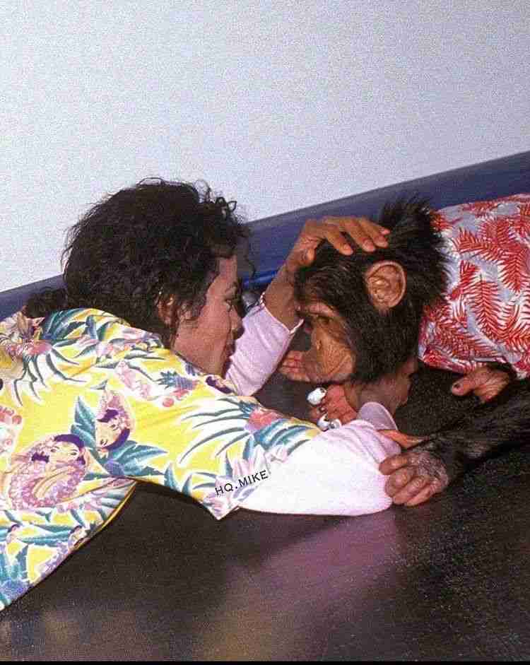 いろんなマイケル・ジャクソンが見たい