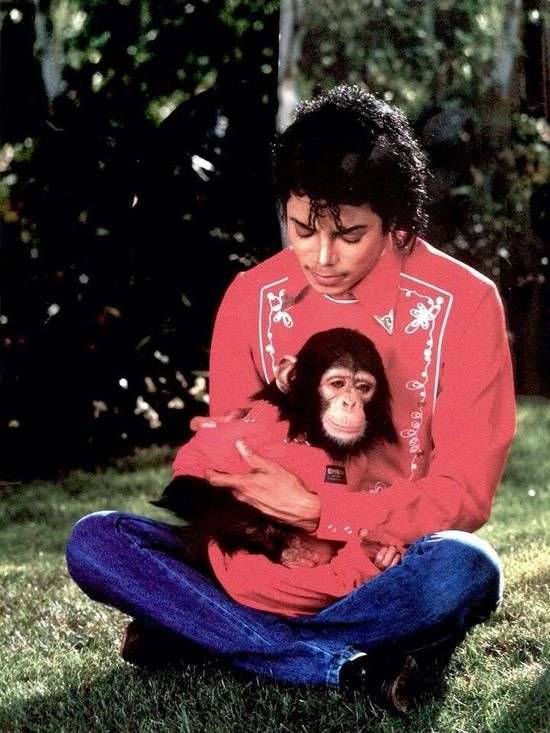 いろんなマイケル・ジャクソンが見たい