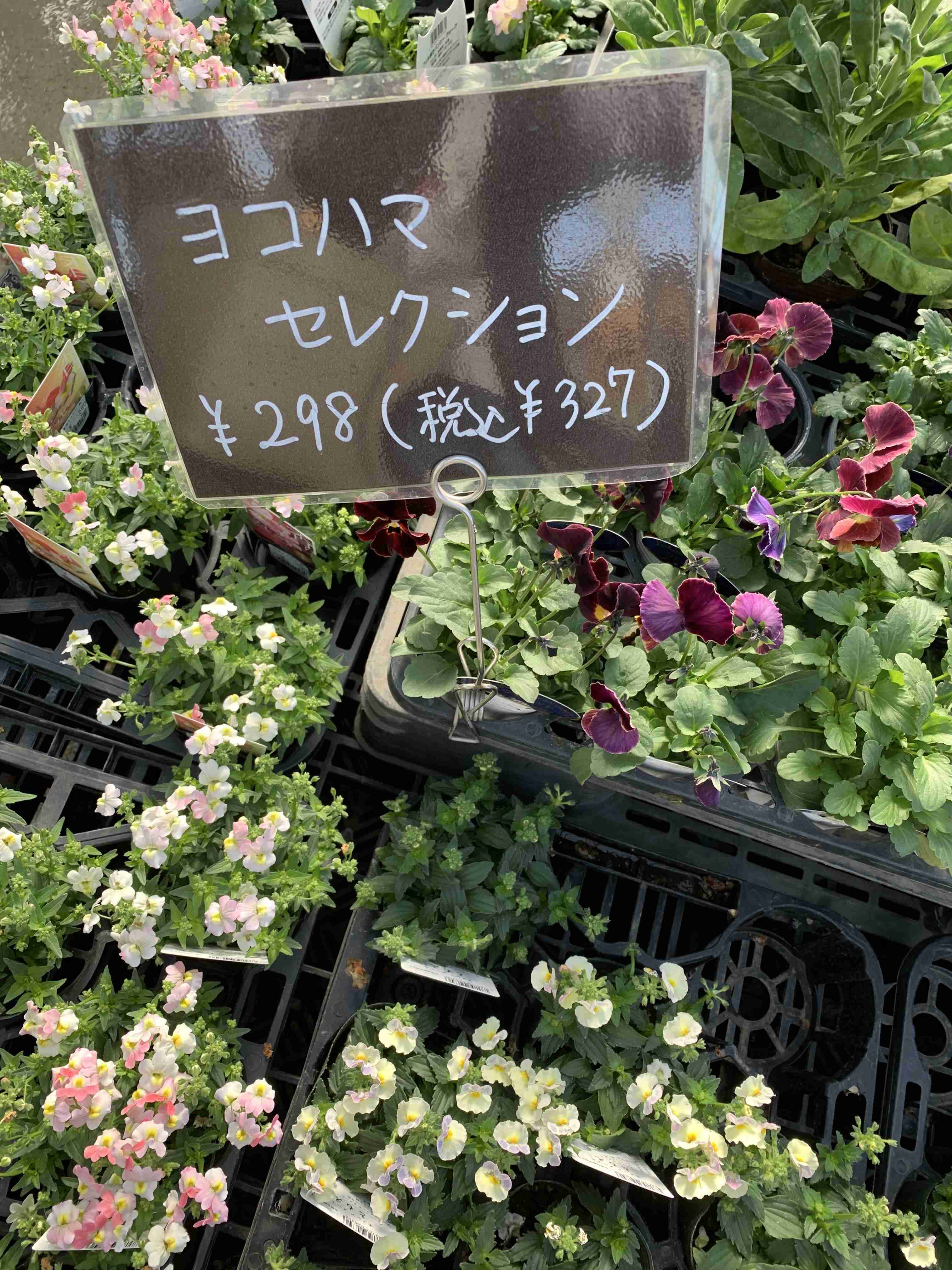 【ガーデニング】ガルちゃん園芸部【花・植物】part.20