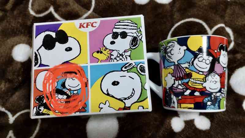 これが目的で買った！