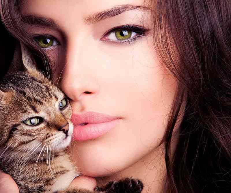 犬顔と猫顔、どっち派？？ : がーるずレポート