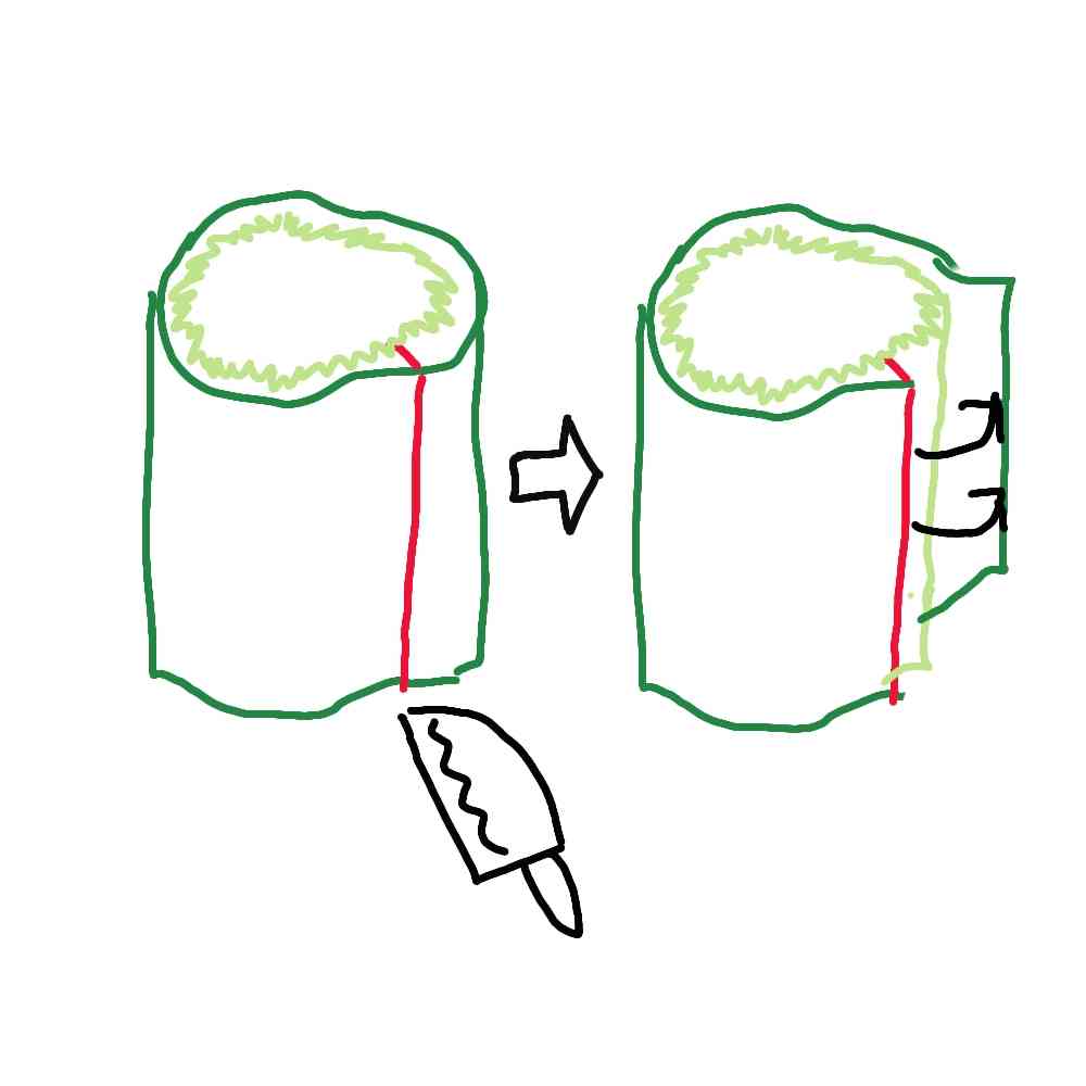食べる？　捨てる？　ブロッコリーの「茎」「葉」、どうするのがいい？　料理研究家に聞いてみた