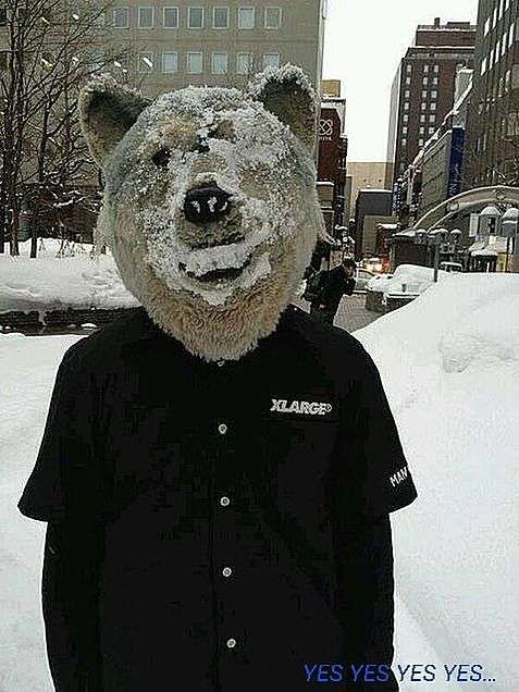 【ネタ】あなたの風邪はどこから?という質問に答えてそうな画像