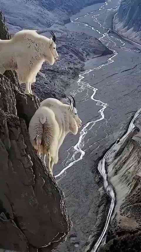 山羊座さん召集です。part21