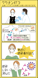 コロナワクチンの無料接種、見直し議論へ…感染症分類と並行で