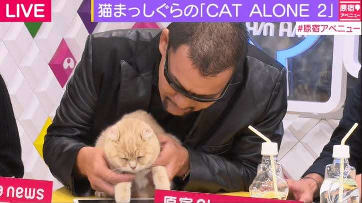 強面芸能人の可愛い画像