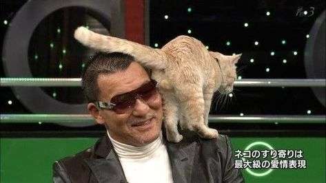強面芸能人の可愛い画像