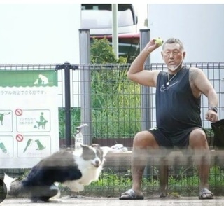 強面芸能人の可愛い画像