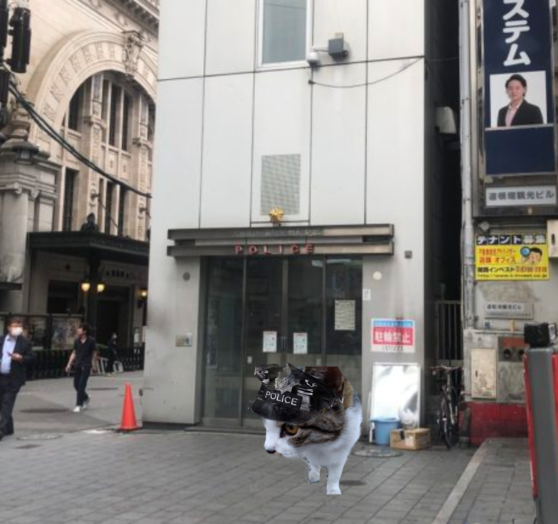 がるちゃん猫カフェ82号店開店しました♪(初めての方も大歓迎♪)