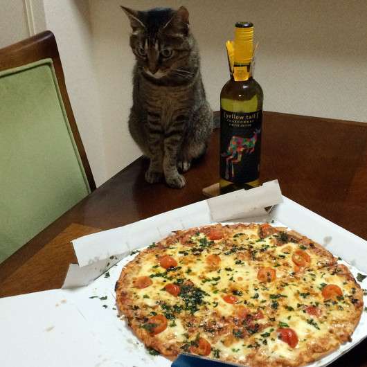 がるちゃん猫カフェ82号店開店しました♪(初めての方も大歓迎♪)