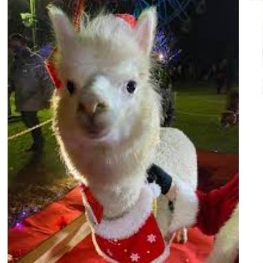 サンタさんへの手紙を書くトピ