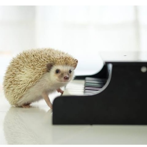 【クラシック以外】ピアノで弾くとウットリする曲