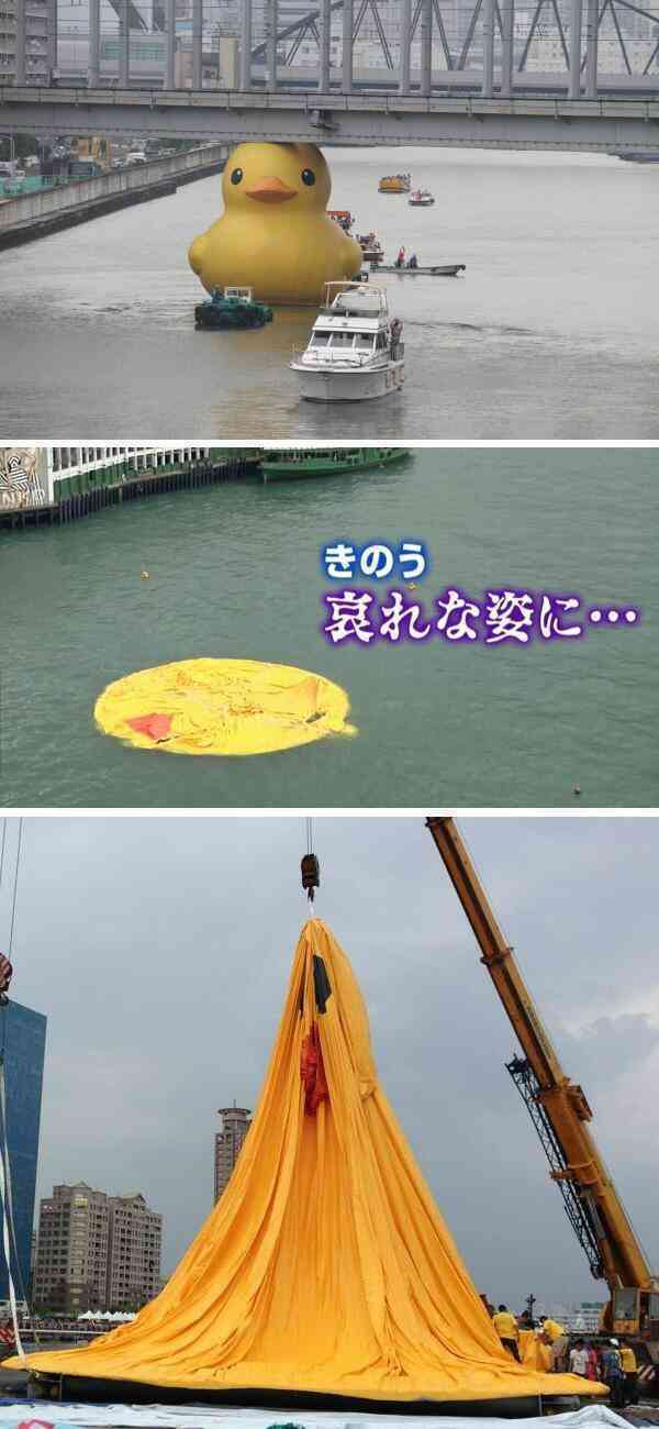 アヒルとアヒル口の画像を交互に貼るトピ　Part3