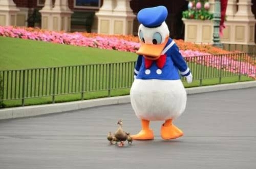 アヒルとアヒル口の画像を交互に貼るトピ　Part3