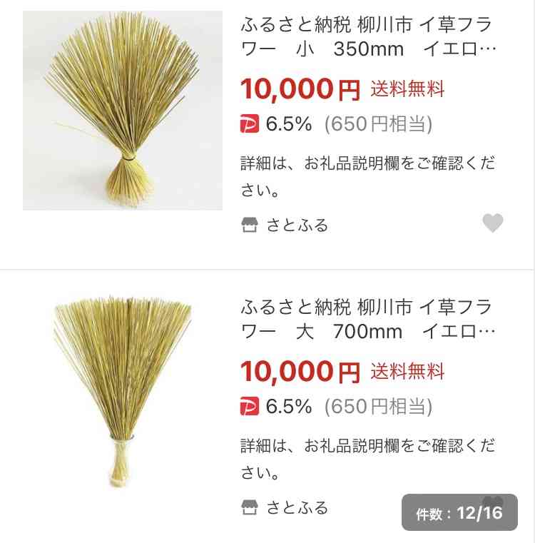 ふるさと納税赤字、自治体の25%　1億円超の町も、穴埋めは交付税