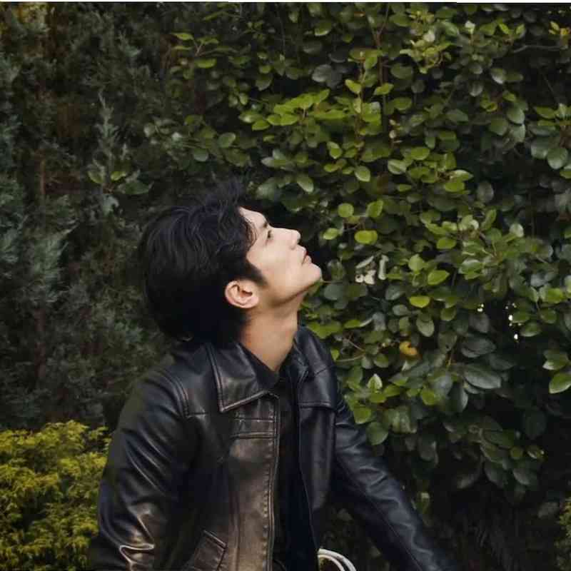 綺麗な横顔が見たい