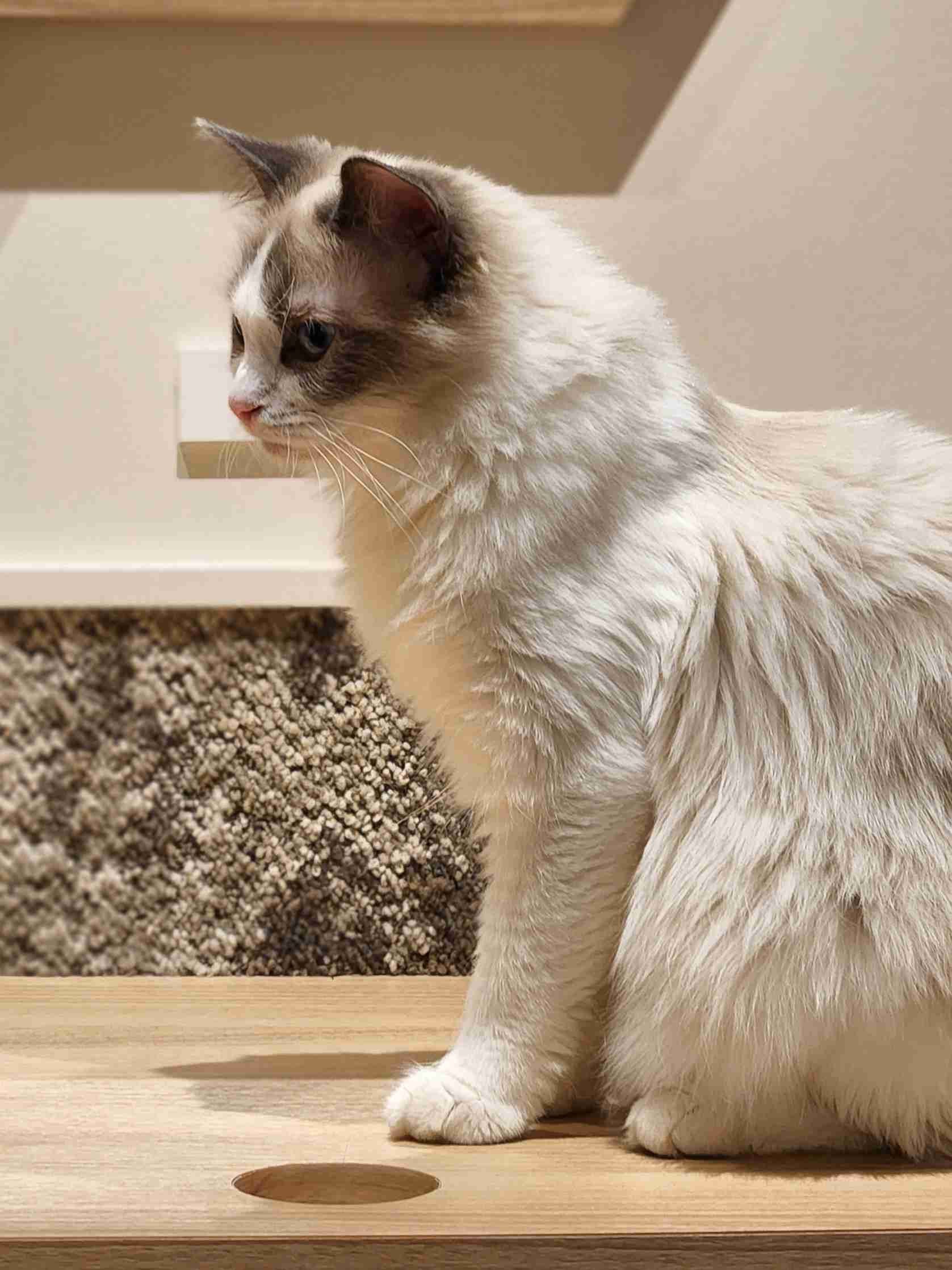 綺麗な横顔が見たい