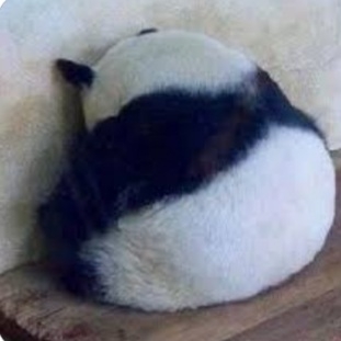 低気圧で不調になる人！