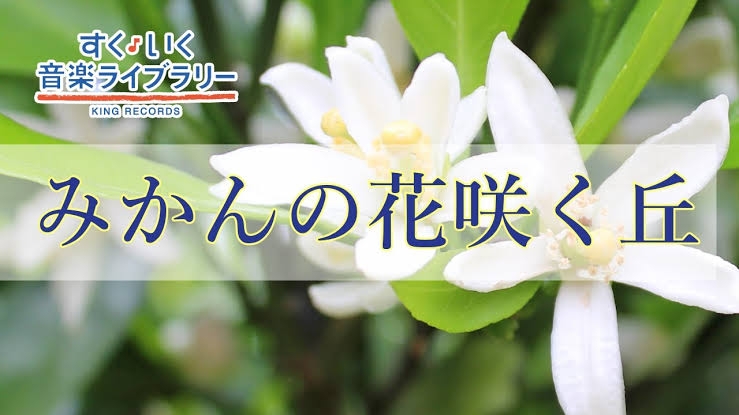 食べ物の名前が出てくる曲といえぱ？