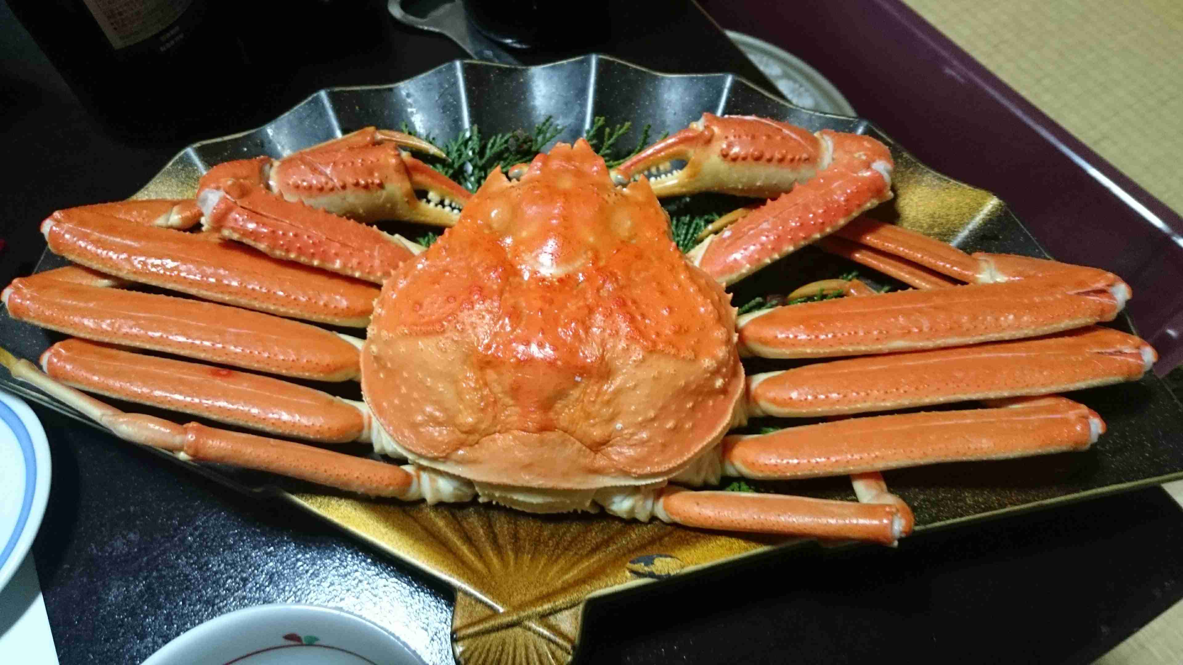 【深夜の飯テロ】スマホに入ってる食べ物画像見せて！Part9